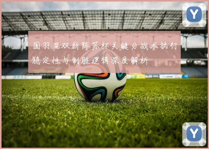 国羽混双新阵苏杯关键分战术执行稳定性与制胜逻辑深度解析