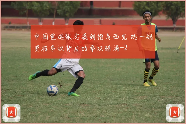 中国重炮张志磊剑指乌西克 统一战资格争议背后的拳坛暗涌
