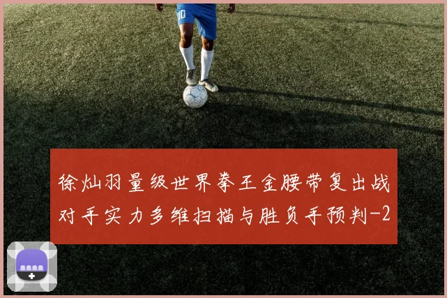 徐灿羽量级世界拳王金腰带复出战对手实力多维扫描与胜负手预判